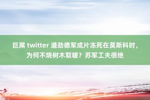 巨屌 twitter 遒劲德军成片冻死在莫斯科时，为何不烧树木取暖？苏军工夫很绝