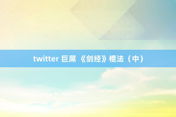 twitter 巨屌 《剑经》棍法（中）
