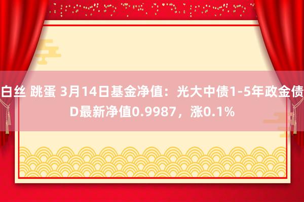 白丝 跳蛋 3月14日基金净值：光大中债1-5年政金债D最新净值0.9987，涨0.1%