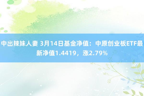 中出辣妹人妻 3月14日基金净值：中原创业板ETF最新净值1.4419，涨2.79%