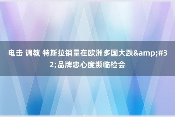 电击 调教 特斯拉销量在欧洲多国大跌&#32;品牌忠心度濒临检会