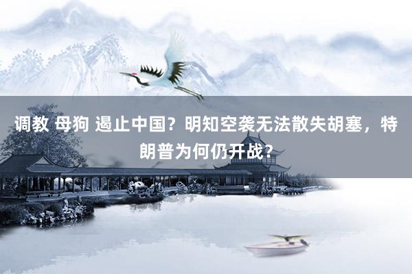 调教 母狗 遏止中国？明知空袭无法散失胡塞，特朗普为何仍开战？