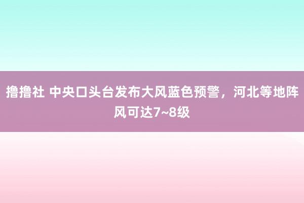 撸撸社 中央口头台发布大风蓝色预警，河北等地阵风可达7~8级