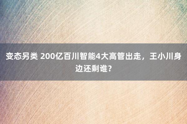 变态另类 200亿百川智能4大高管出走，王小川身边还剩谁？