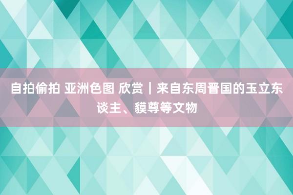 自拍偷拍 亚洲色图 欣赏｜来自东周晋国的玉立东谈主、貘尊等文物