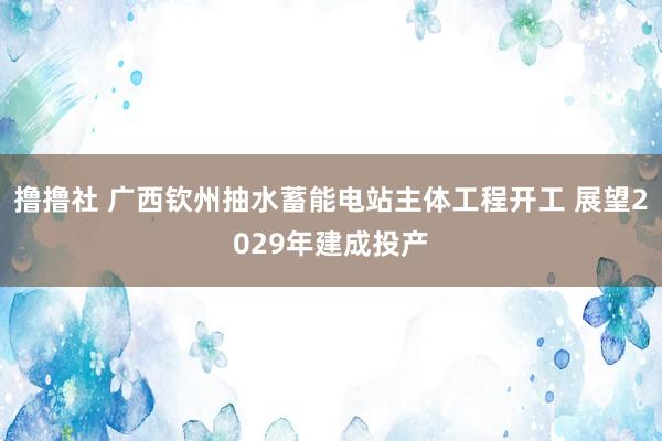 撸撸社 广西钦州抽水蓄能电站主体工程开工 展望2029年建成投产