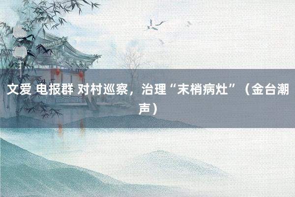 文爱 电报群 对村巡察，治理“末梢病灶”（金台潮声）