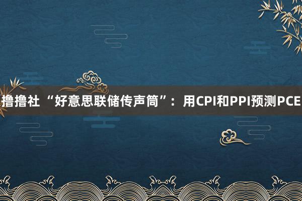 撸撸社 “好意思联储传声筒”：用CPI和PPI预测PCE