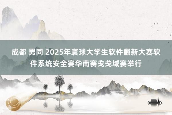 成都 男同 2025年寰球大学生软件翻新大赛软件系统安全赛华南赛戋戋域赛举行