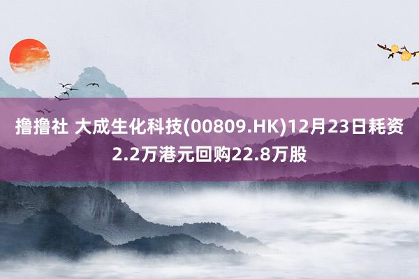 撸撸社 大成生化科技(00809.HK)12月23日耗资2.2万港元回购22.8万股