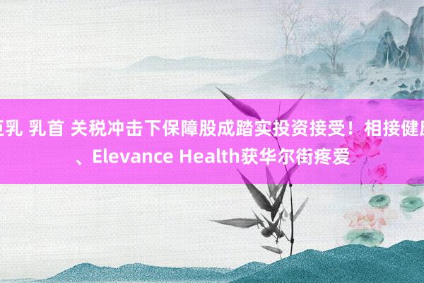 巨乳 乳首 关税冲击下保障股成踏实投资接受！相接健康、Elevance Health获华尔街疼爱