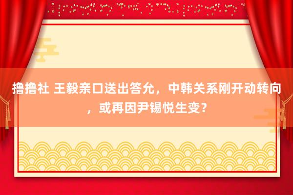 撸撸社 王毅亲口送出答允，中韩关系刚开动转向，或再因尹锡悦生变？