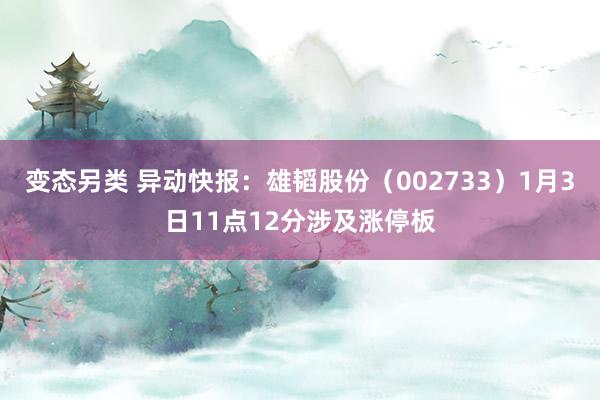 变态另类 异动快报：雄韬股份（002733）1月3日11点12分涉及涨停板