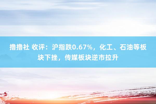 撸撸社 收评：沪指跌0.67%，化工、石油等板块下挫，传媒板块逆市拉升