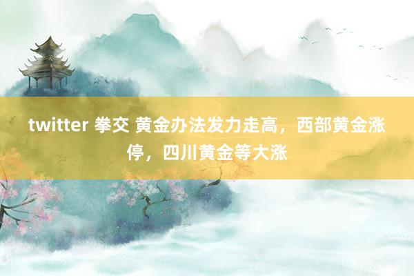 twitter 拳交 黄金办法发力走高，西部黄金涨停，四川黄金等大涨