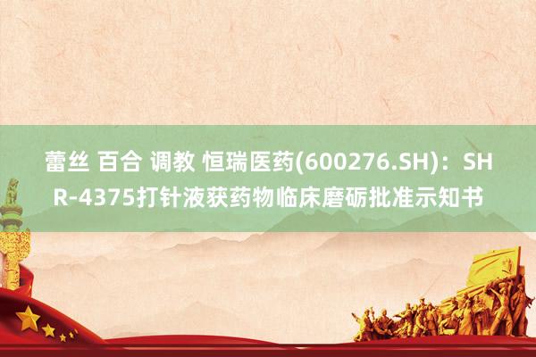 蕾丝 百合 调教 恒瑞医药(600276.SH)：SHR-4375打针液获药物临床磨砺批准示知书