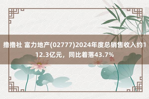 撸撸社 富力地产(02777)2024年度总销售收入约112.3亿元，同比着落43.7%