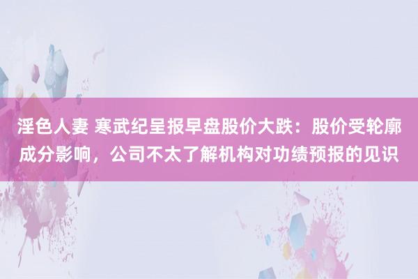 淫色人妻 寒武纪呈报早盘股价大跌：股价受轮廓成分影响，公司不太了解机构对功绩预报的见识