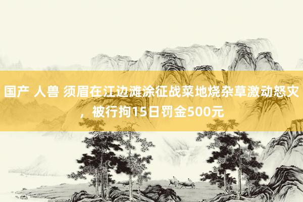 国产 人兽 须眉在江边滩涂征战菜地烧杂草激动怒灾，被行拘15日罚金500元