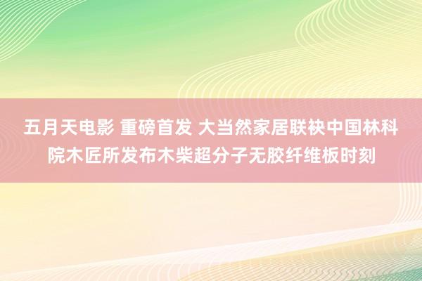 五月天电影 重磅首发 大当然家居联袂中国林科院木匠所发布木柴超分子无胶纤维板时刻