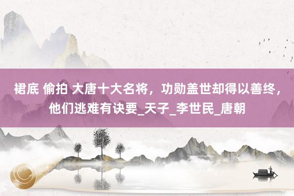 裙底 偷拍 大唐十大名将，功勋盖世却得以善终，他们逃难有诀要_天子_李世民_唐朝