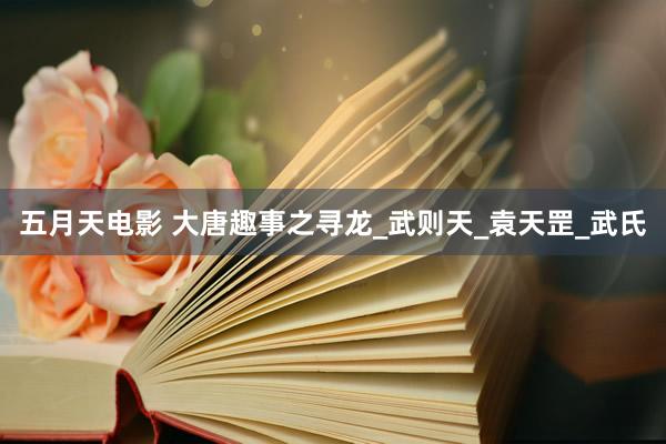 五月天电影 大唐趣事之寻龙_武则天_袁天罡_武氏