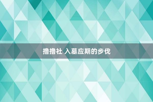 撸撸社 入墓应期的步伐