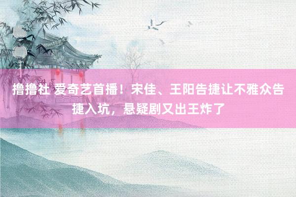 撸撸社 爱奇艺首播！宋佳、王阳告捷让不雅众告捷入坑，悬疑剧又出王炸了