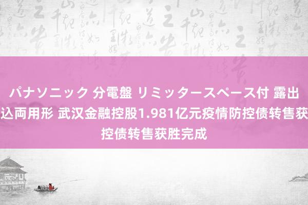 パナソニック 分電盤 リミッタースペース付 露出・半埋込両用形 武汉金融控股1.981亿元疫情防控债转售获胜完成