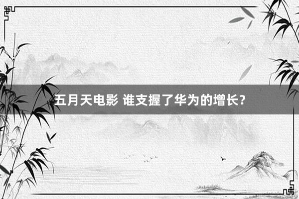 五月天电影 谁支握了华为的增长？