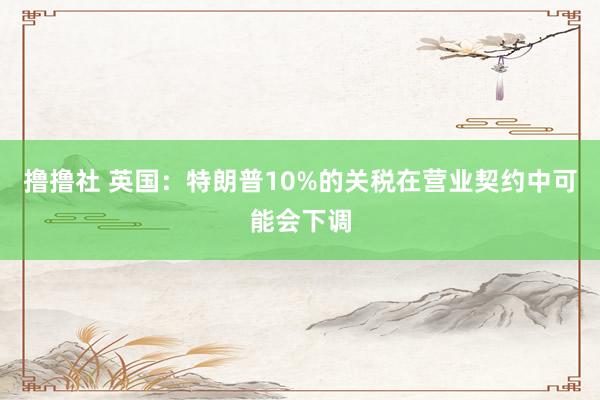 撸撸社 英国：特朗普10%的关税在营业契约中可能会下调