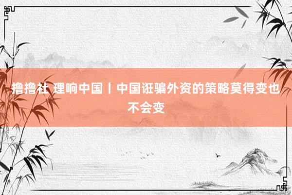 撸撸社 理响中国丨中国诳骗外资的策略莫得变也不会变