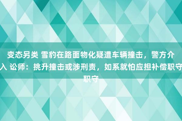 变态另类 雪豹在路面物化疑遭车辆撞击，警方介入 讼师：挑升撞击或涉刑责，如系就怕应担补偿职守