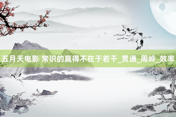 五月天电影 常识的赢得不在于若干_贯通_周岭_效率