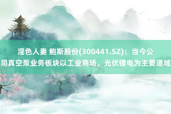 淫色人妻 鲍斯股份(300441.SZ)：当今公司真空泵业务板块以工业商场，光伏锂电为主要道域