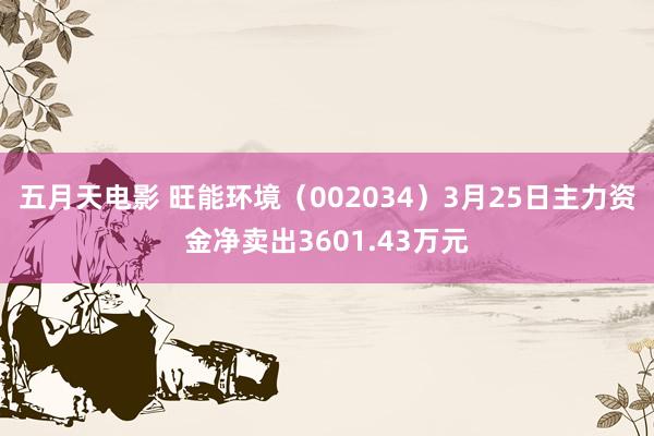 五月天电影 旺能环境（002034）3月25日主力资金净卖出3601.43万元