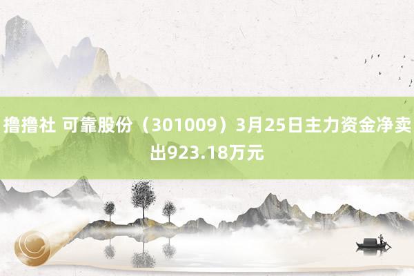 撸撸社 可靠股份（301009）3月25日主力资金净卖出923.18万元