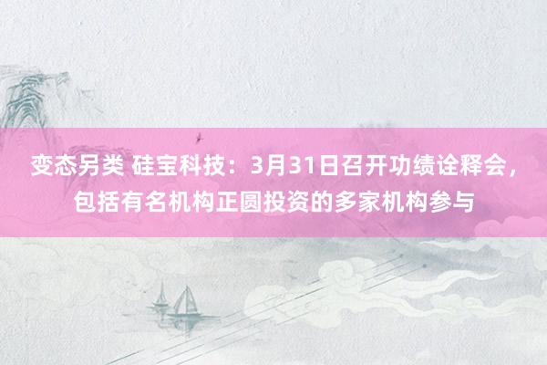 变态另类 硅宝科技：3月31日召开功绩诠释会，包括有名机构正圆投资的多家机构参与