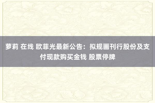 萝莉 在线 欧菲光最新公告：拟规画刊行股份及支付现款购买金钱 股票停牌