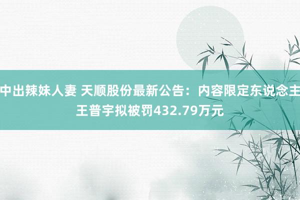 中出辣妹人妻 天顺股份最新公告：内容限定东说念主王普宇拟被罚432.79万元