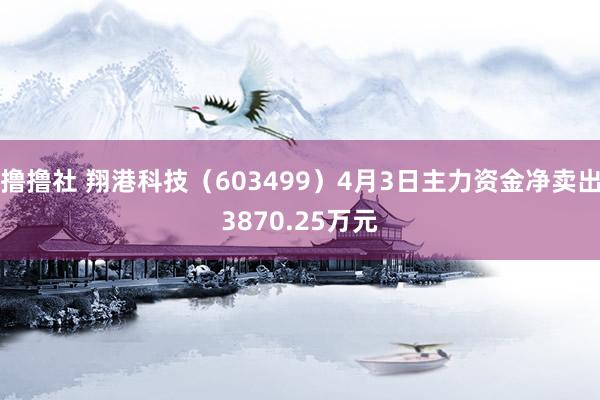 撸撸社 翔港科技（603499）4月3日主力资金净卖出3870.25万元