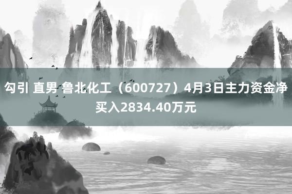 勾引 直男 鲁北化工（600727）4月3日主力资金净买入2834.40万元