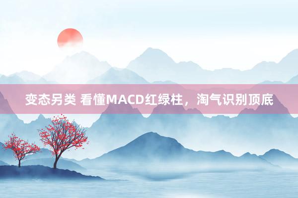 变态另类 看懂MACD红绿柱，淘气识别顶底