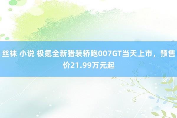 丝袜 小说 极氪全新猎装轿跑007GT当天上市，预售价21.99万元起