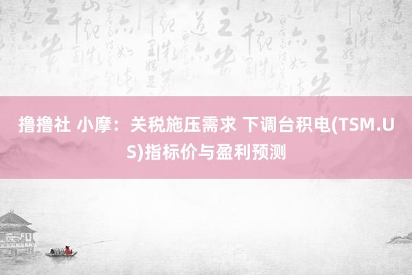 撸撸社 小摩：关税施压需求 下调台积电(TSM.US)指标价与盈利预测