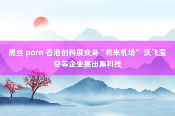 黑丝 porn 香港创科展变身“将来机场” 沃飞漫空等企业亮出黑科技