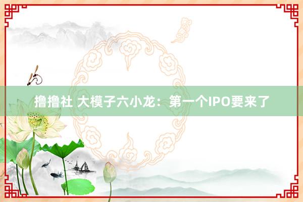 撸撸社 大模子六小龙：第一个IPO要来了