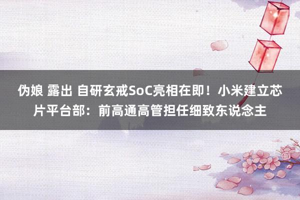 伪娘 露出 自研玄戒SoC亮相在即！小米建立芯片平台部：前高通高管担任细致东说念主