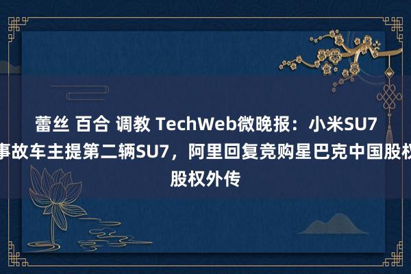 蕾丝 百合 调教 TechWeb微晚报：小米SU7坠崖事故车主提第二辆SU7，阿里回复竞购星巴克中国股权外传