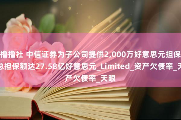 撸撸社 中信证券为子公司提供2，000万好意思元担保，总担保额达27.58亿好意思元_Limited_资产欠债率_天眼